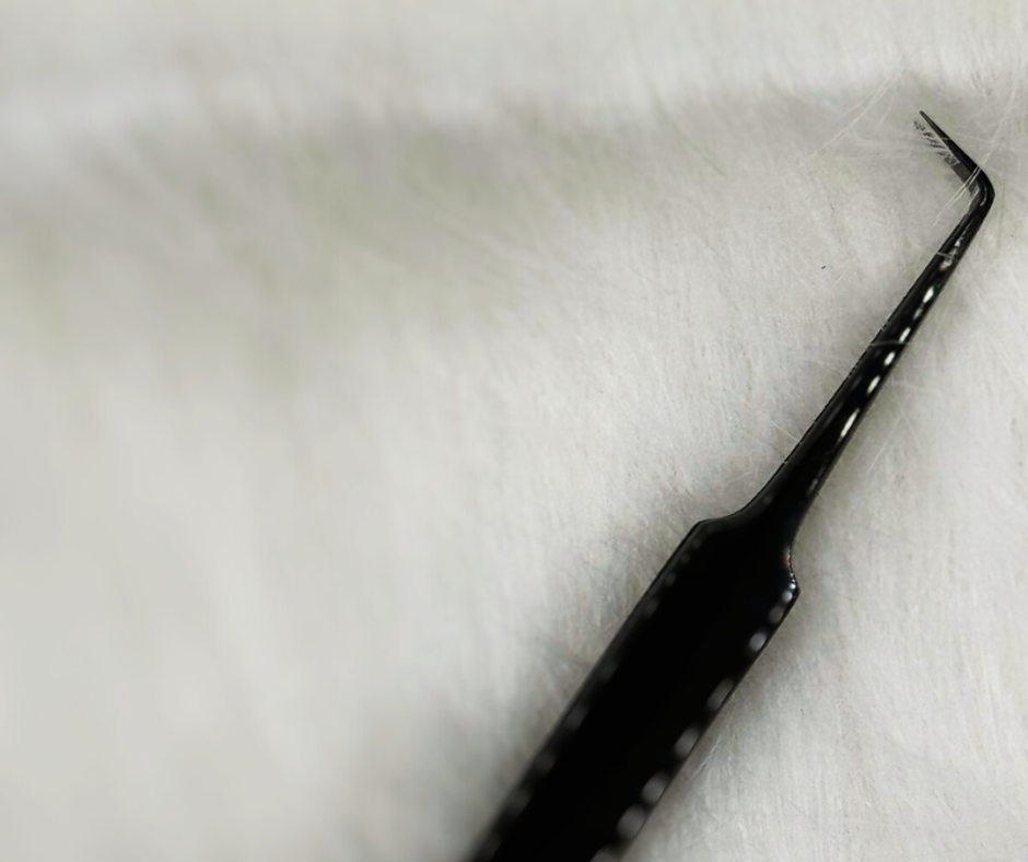Pinza Freya