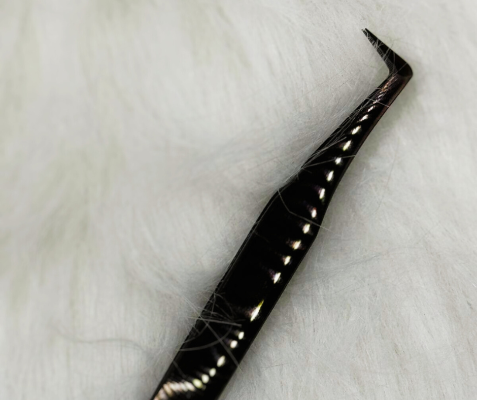 Pinza Lucia