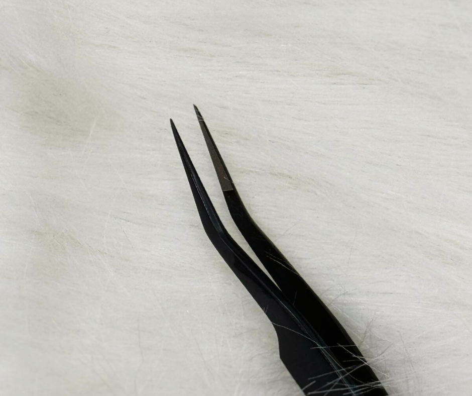 Pinza Olimpo